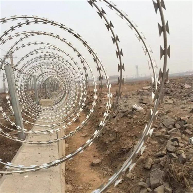 防盜刀刺網(wǎng)圖片1 防盜刀刺網(wǎng)圖片1