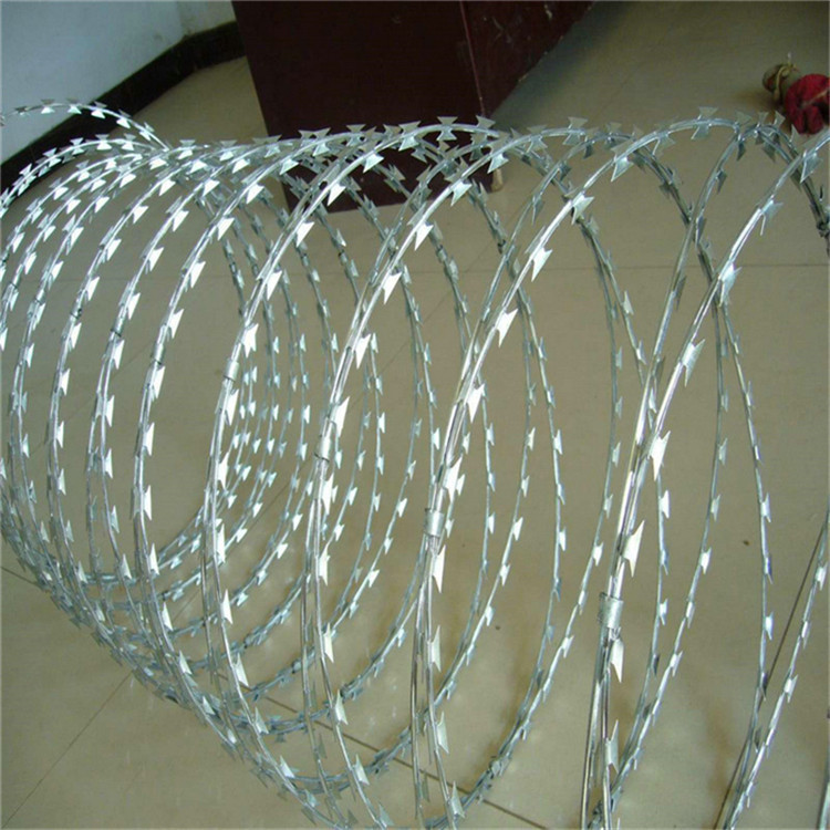 防盜刀刺網(wǎng)圖片4 防盜刀刺網(wǎng)圖片4