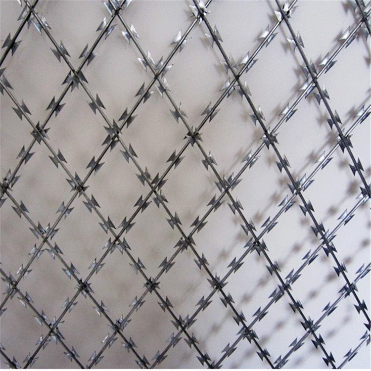 加高刀刺網(wǎng)鋼網(wǎng)墻圖片1 加高刀刺網(wǎng)鋼網(wǎng)墻圖片1