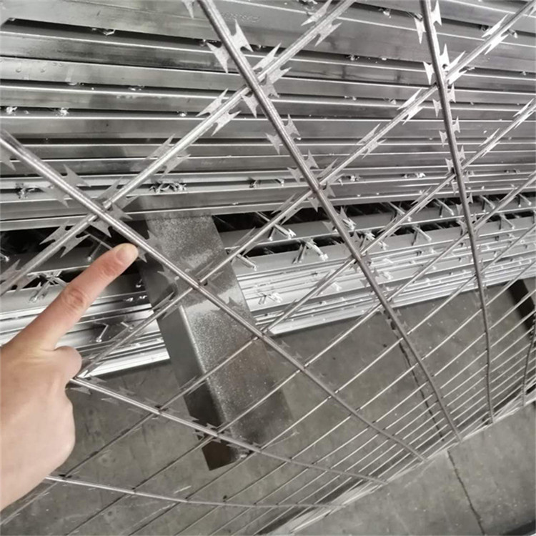 螺旋式刀片刺網(wǎng)圖片2 螺旋式刀片刺網(wǎng)圖片2