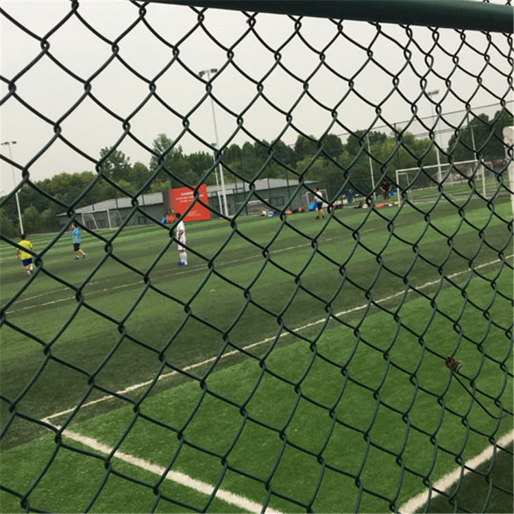 球場護(hù)欄網(wǎng)圖片2 球場護(hù)欄網(wǎng)圖片2