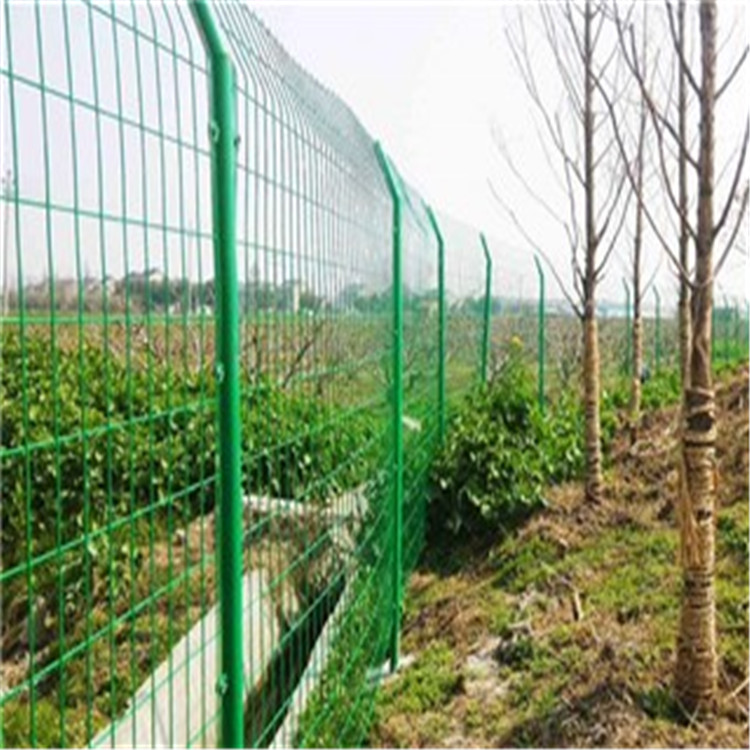 魚塘防護(hù)網(wǎng)圖片3 魚塘防護(hù)網(wǎng)圖片3
