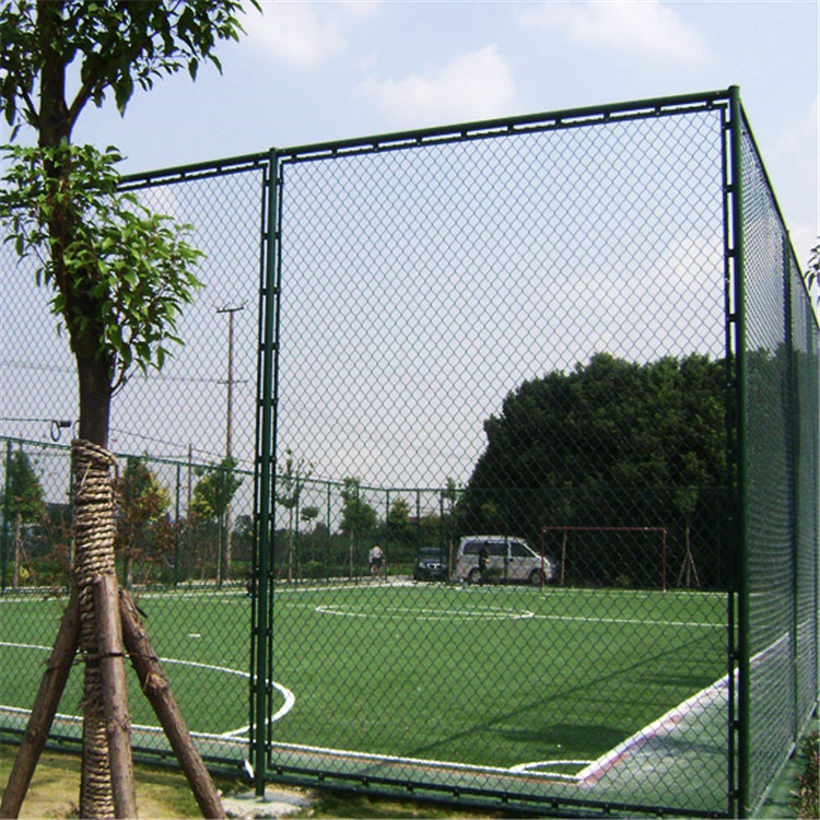 籠式足球場圍網(wǎng)圖片3 籠式足球場圍網(wǎng)圖片3