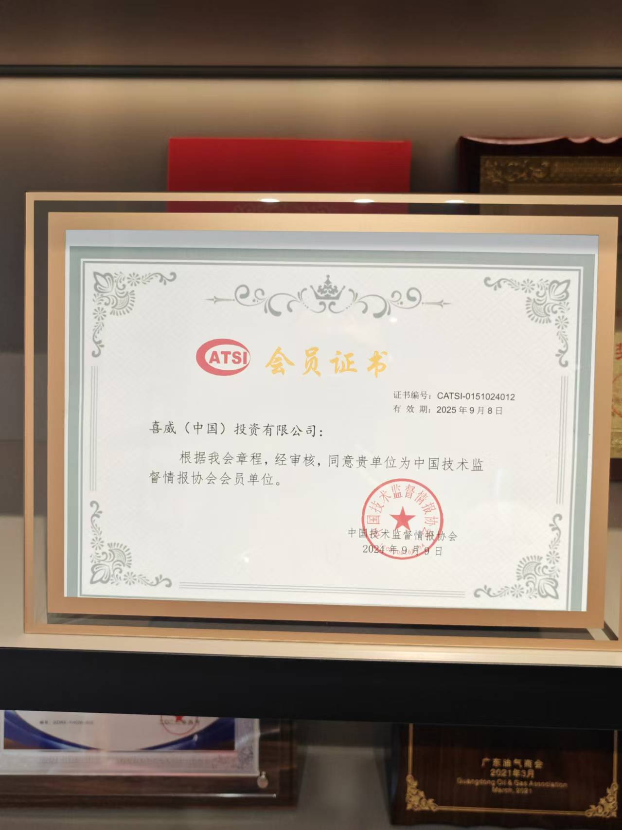 喜威_2024中國技術(shù)監(jiān)督情報(bào)協(xié)會會員單位